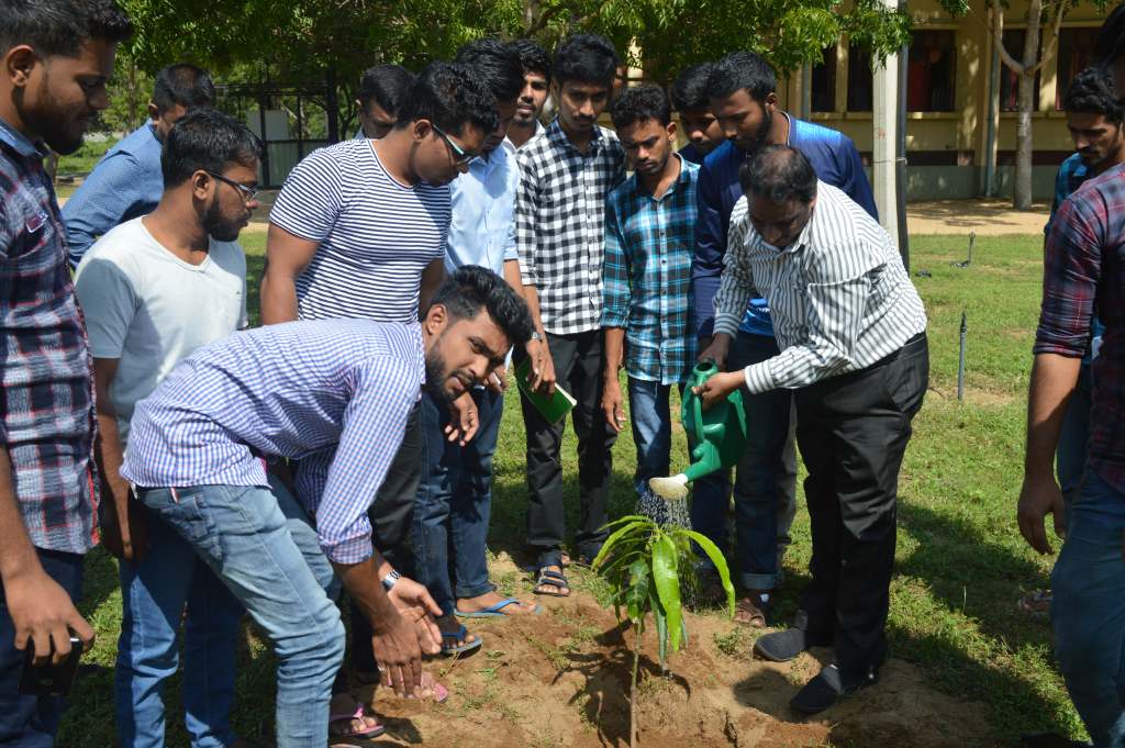 A Tree Planting Programme