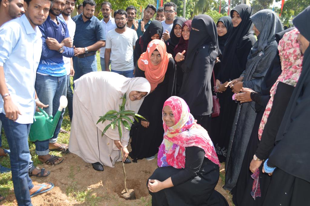 A Tree Planting Programme