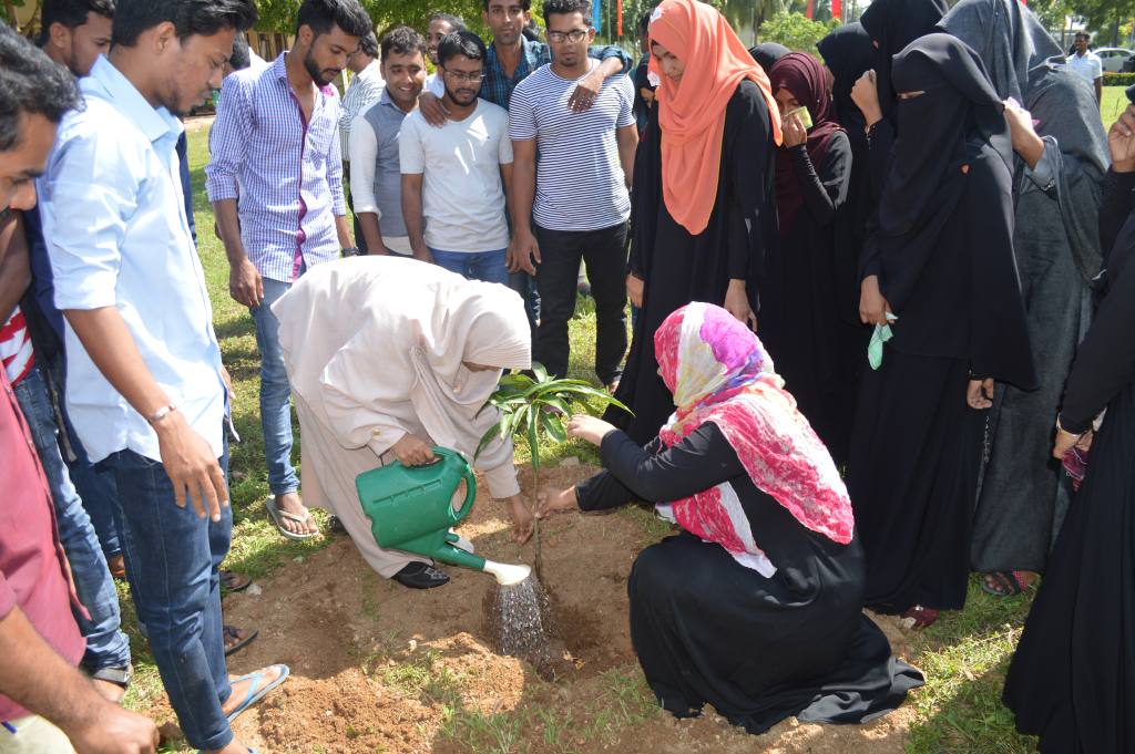 A Tree Planting Programme