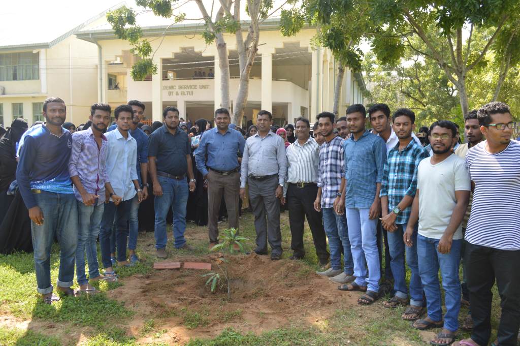 A Tree Planting Programme