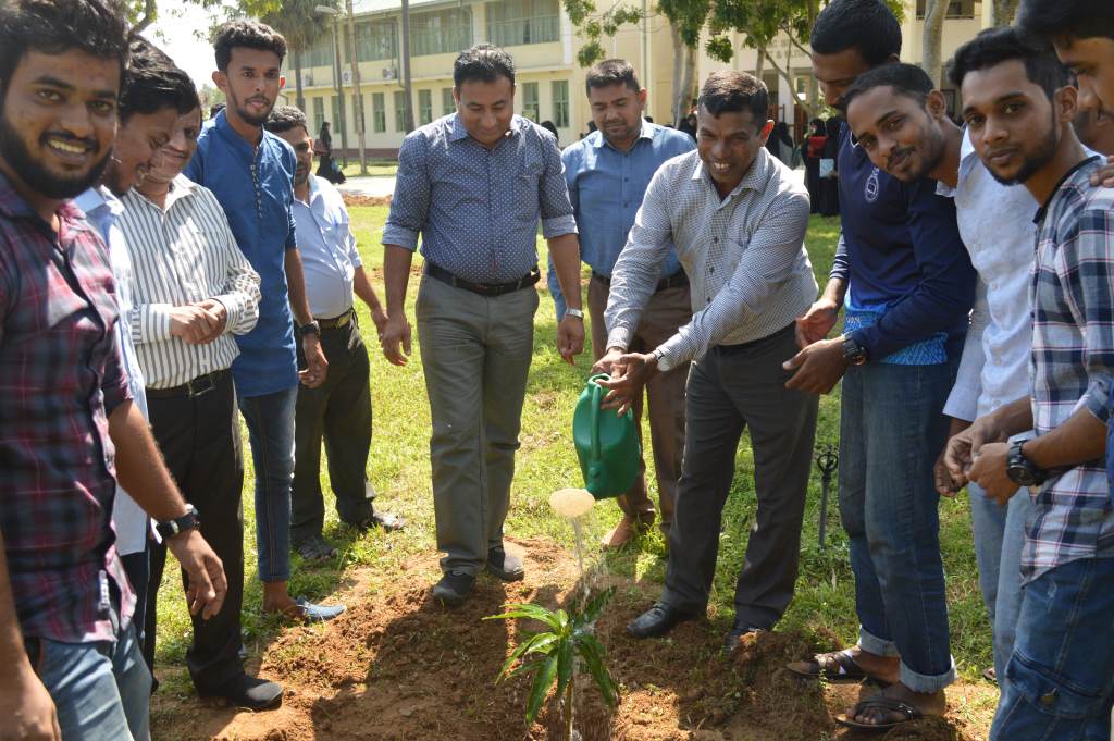 A Tree Planting Programme