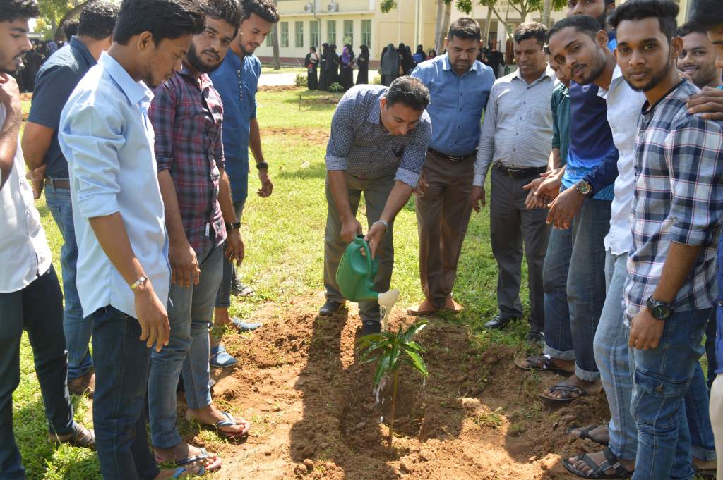 A Tree Planting Programme