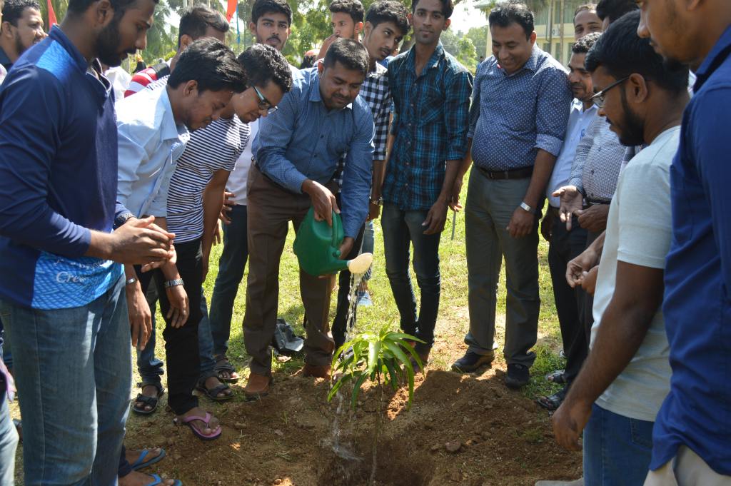 A Tree Planting Programme