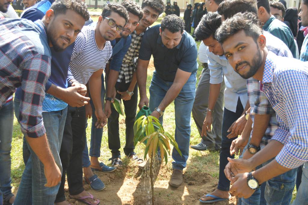 A Tree Planting Programme
