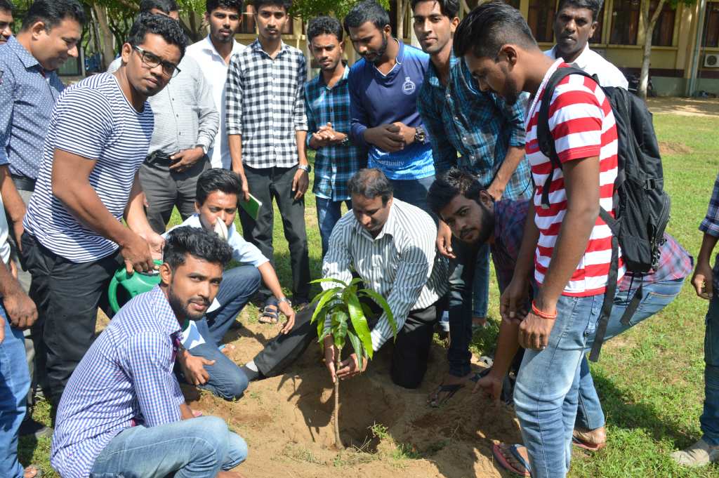 A Tree Planting Programme