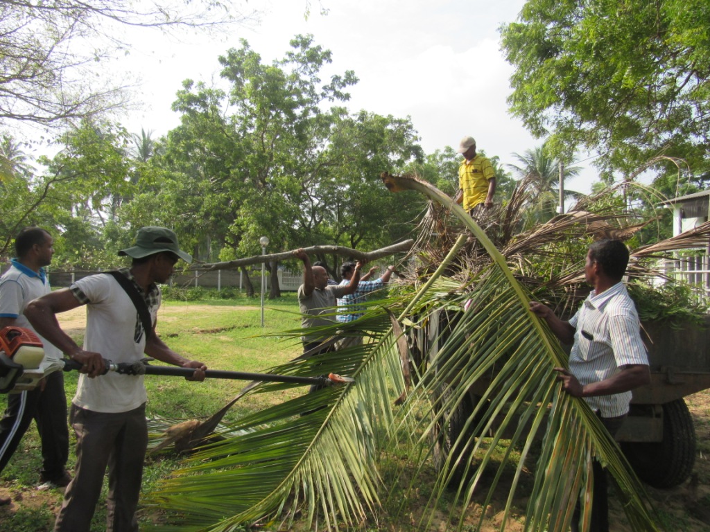 A Mass Shramadana at the premises of Technology Faculty