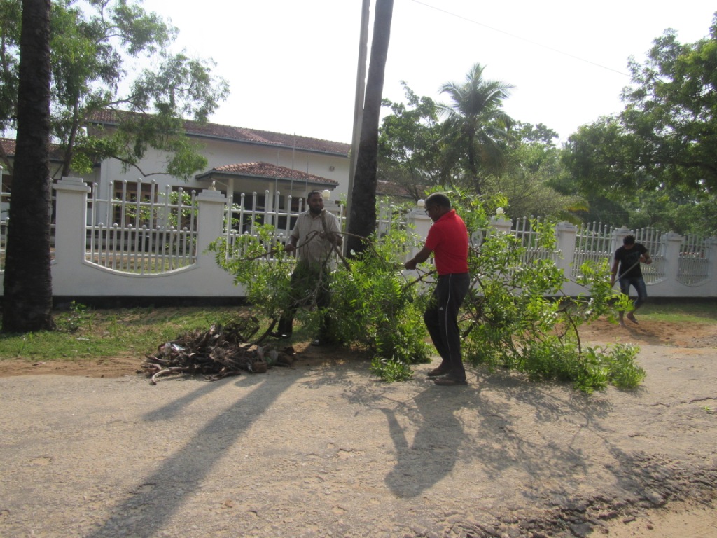 A Mass Shramadana at the premises of Technology Faculty