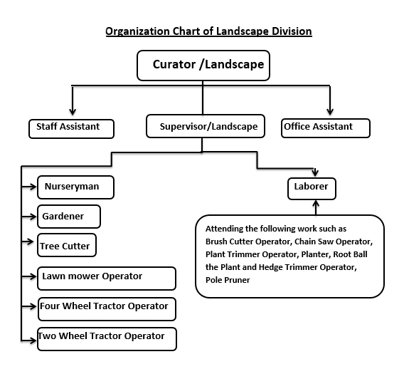 Landscape Organizational Chart