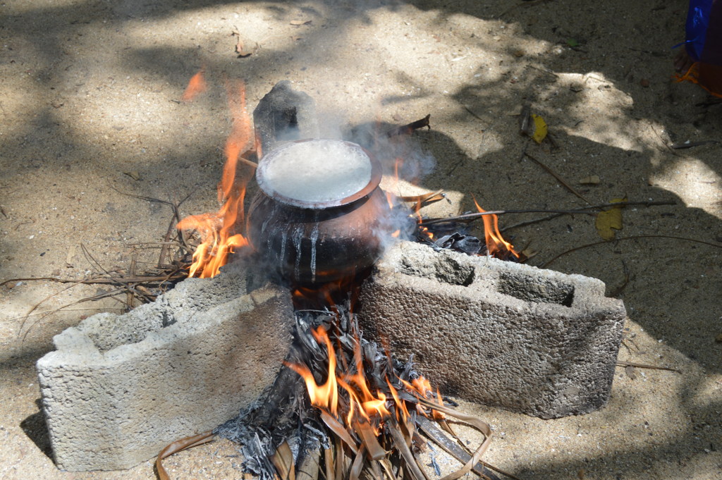 Sinhala and Hindu Aluth Avurudu Celebration 2016