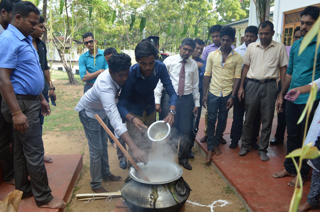 A Thaipongal for community amity, peace and harmony