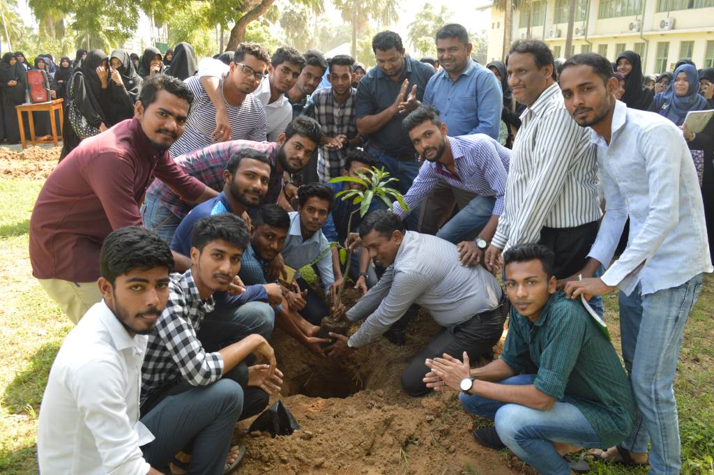 A Tree Planting Programme
