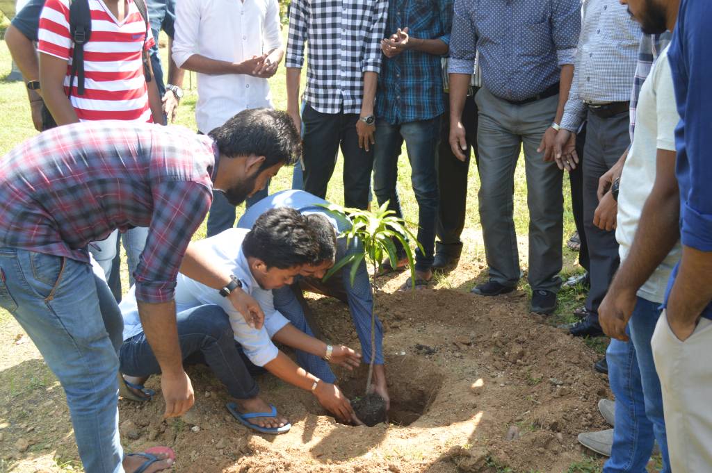 A Tree Planting Programme
