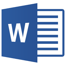 MS Word 2007 Format