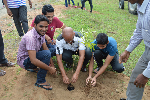 tree planting programme - fmc